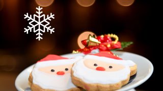 道後 で過ごす大人のクリスマス・1日3組限定～遥のX’masプラン～1泊2食付き